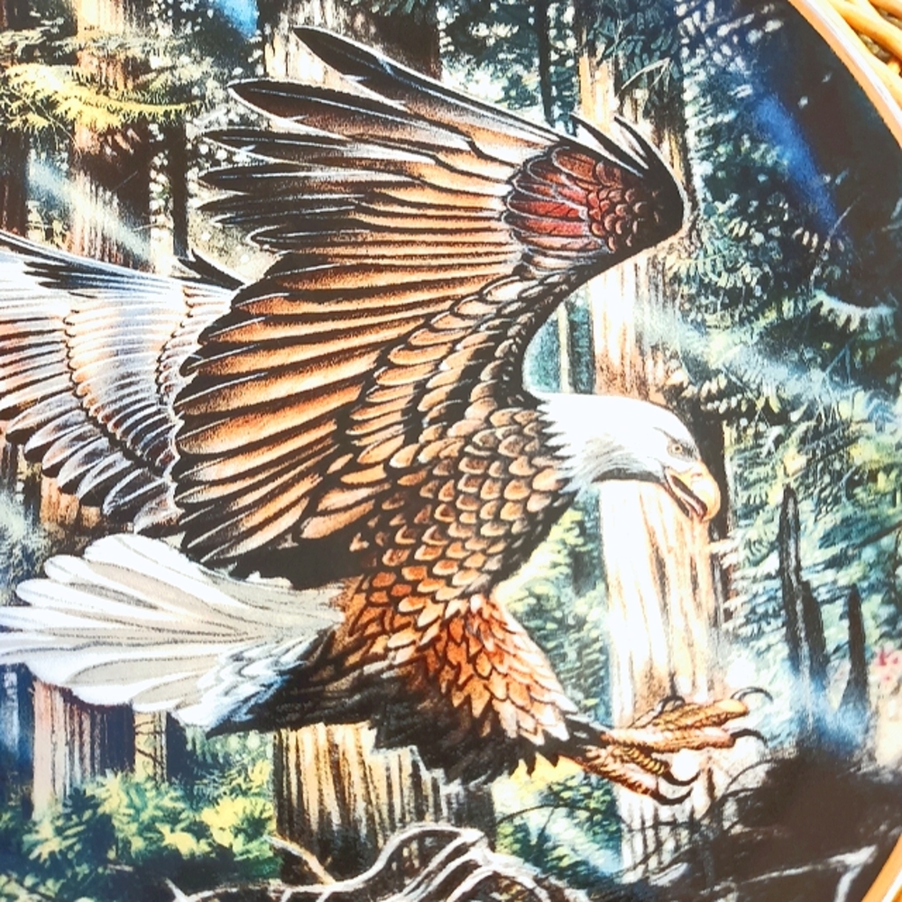 Franklin Mint Heirloom Freedom's Flight Fine Porcelain 8" Collectable 🦅Plate
